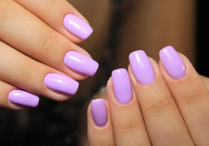 Софія Portfolio 8